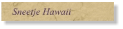 Sneetje Hawaii